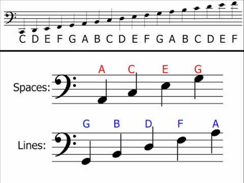 Note Names On Bass Clef