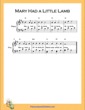 Thumbnail of First Page of Mary Had a Little Lamb Easy 2 (G Major) sheet music by Nursery Rhyme
