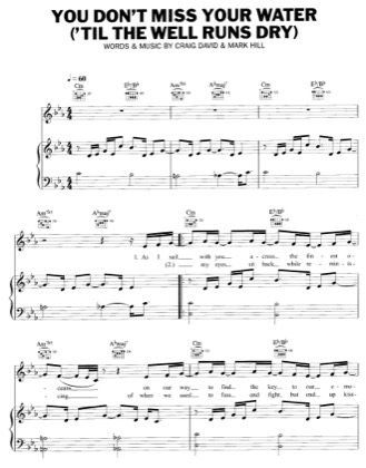 Thumbnail of first page of You Don't Miss Your Water piano sheet music PDF by Craig David.